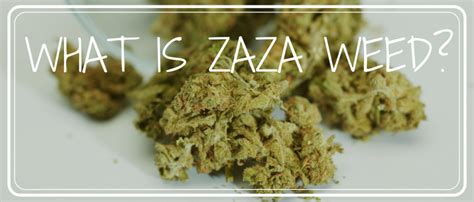 what is zaza slang|what is zaza drugs.